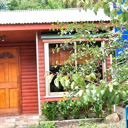 Cabana Drak